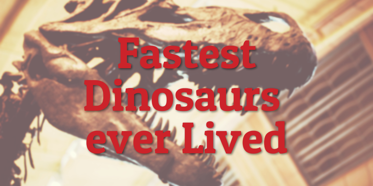 Fastest Dinosaurs ever Lived